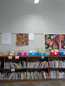 photo of book shelves with colored book bins on top and racoon puzzle and butterfly picture on wall