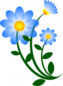 picture of blue flowers with a yellow center